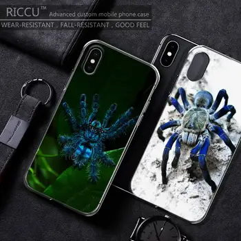 כחול מפחיד עכביש חמוד המחמד מקרה טלפון עבור iPhone 11 12 Pro Max X XS XR 7 8 7Plus 8Plus 6S SE סיליקון רך Case כיסוי - התמונה 1  