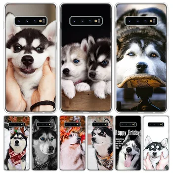כלב האסקי סיבירי טלפון Case For Samsung Galaxy S20-פה. S21 S22 S23 אולטרה S10 לייט S9 S8 בנוסף S7 קצה + אמנות Coque Fundas - התמונה 1  