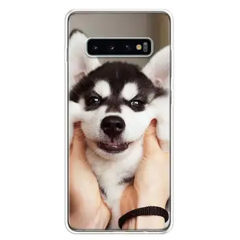 כלב האסקי סיבירי טלפון Case For Samsung Galaxy S20-פה. S21 S22 S23 אולטרה S10 לייט S9 S8 בנוסף S7 קצה + אמנות Coque Fundas - התמונה 2  