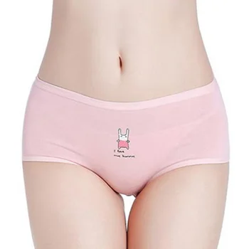 1pc דליפת הוכחה החודשי תחתוני נשים התקופה תחתונים סקסיים מכנסיים פיזיולוגיים עמיד למים תחתונים תחתוני הלבשה תחתונה - התמונה 2  