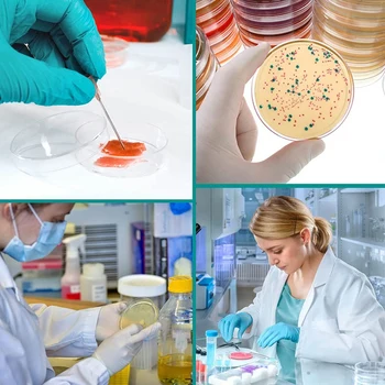 סטרילית פלסטיק עמוקה ברור צלחת ניתוח מעבדה, פרויקטים לבית הספר, דגימות דם,חיידקים,זרע תרבית תאים היא היתה קידום - התמונה 2  