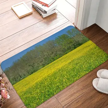 האביב מגיע בקרוב צבע שמן שטיחון נגד החלקה סופר סופג אמבטיה מחצלות הכניסה לבית שטיחים השטיח במסדרון Footpad - התמונה 2  